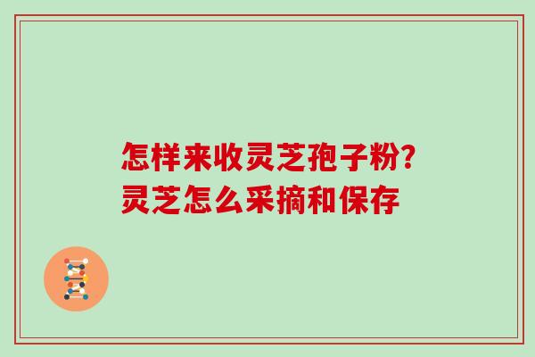 怎样来收灵芝孢子粉？灵芝怎么采摘和保存