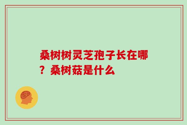 桑树树灵芝孢子长在哪？桑树菇是什么