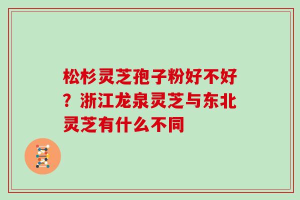 松杉灵芝孢子粉好不好？浙江龙泉灵芝与东北灵芝有什么不同