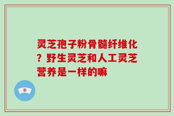 灵芝孢子粉骨髓纤维化？野生灵芝和人工灵芝营养是一样的嘛