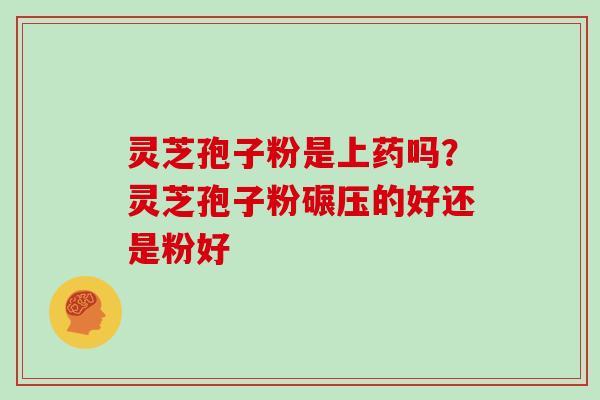 灵芝孢子粉是上药吗？灵芝孢子粉碾压的好还是粉好
