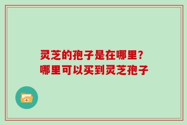 灵芝的孢子是在哪里？哪里可以买到灵芝孢子