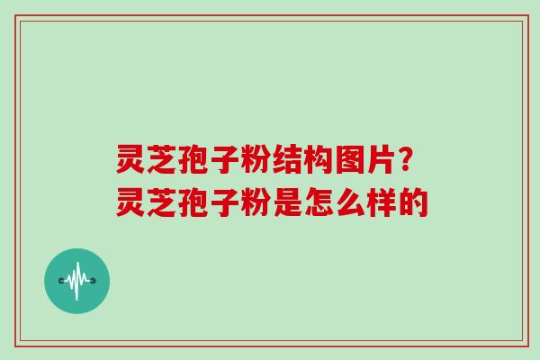 灵芝孢子粉结构图片？灵芝孢子粉是怎么样的