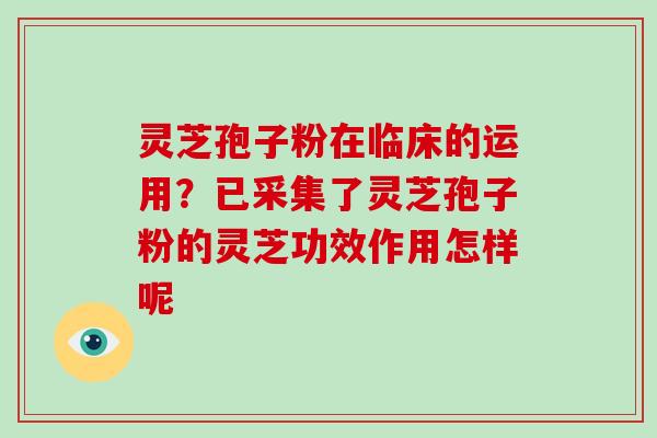灵芝孢子粉在临床的运用？已采集了灵芝孢子粉的灵芝功效作用怎样呢