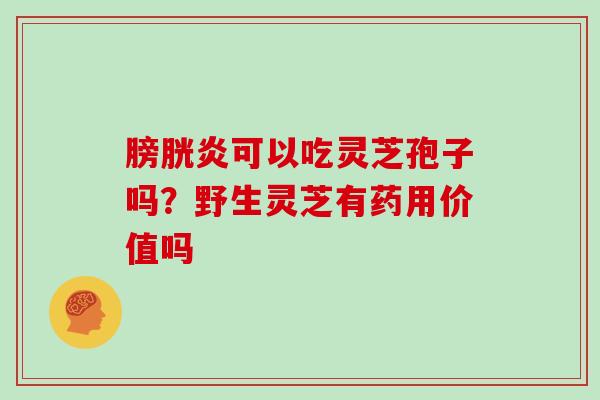 膀胱炎可以吃灵芝孢子吗？野生灵芝有药用价值吗