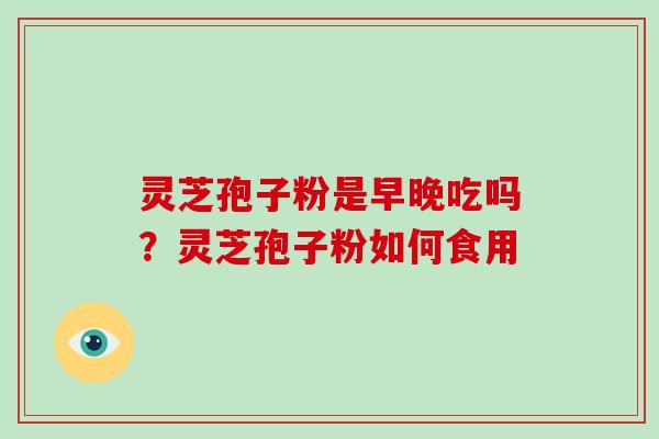 灵芝孢子粉是早晚吃吗？灵芝孢子粉如何食用