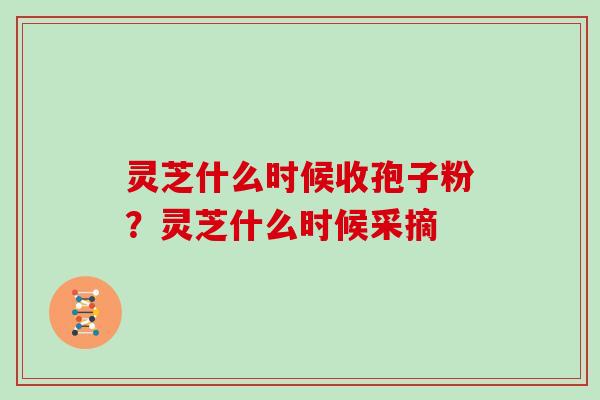 灵芝什么时候收孢子粉？灵芝什么时候采摘