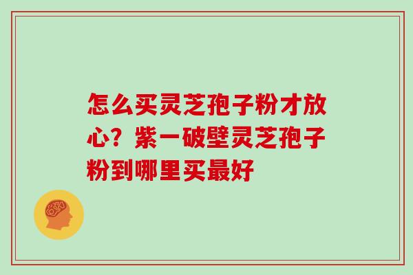 怎么买灵芝孢子粉才放心?紫一破壁灵芝孢子粉到哪里买最好-第1张图片-灵芝大师 怎么买灵芝孢子粉才放心?紫一破壁灵芝孢子粉到哪里买最好-第1张图片-灵芝大师