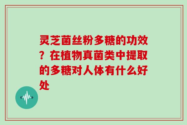 灵芝菌丝粉多糖的功效？在植物真菌类中提取的多糖对人体有什么好处