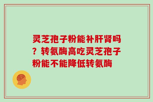 灵芝孢子粉能补肝肾吗？转氨酶高吃灵芝孢子粉能不能降低转氨酶