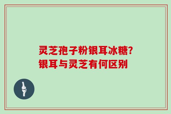 灵芝孢子粉银耳冰糖？银耳与灵芝有何区别