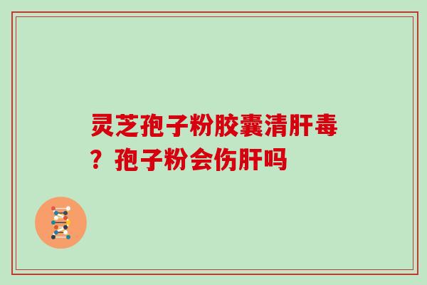 灵芝孢子粉胶囊清肝毒？孢子粉会伤肝吗