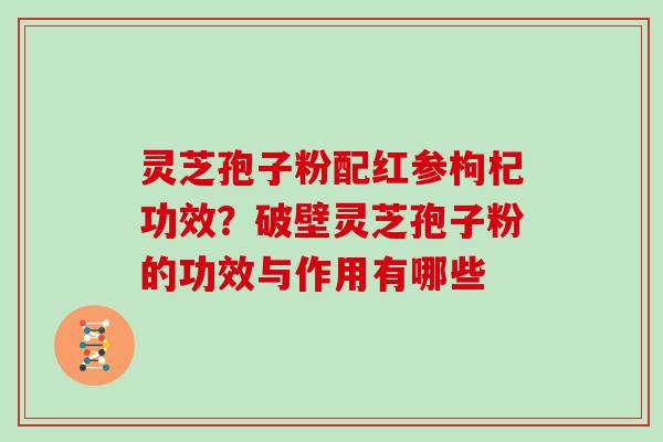 灵芝孢子粉配红参枸杞功效？破壁灵芝孢子粉的功效与作用有哪些