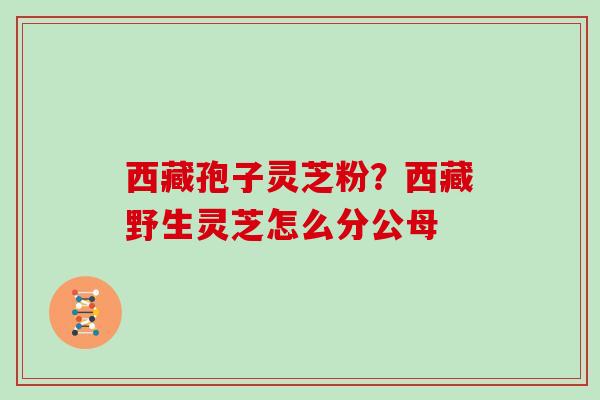 西藏孢子灵芝粉？西藏野生灵芝怎么分公母