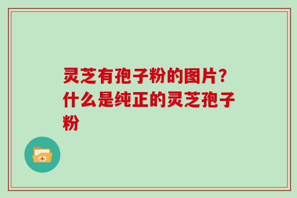 灵芝有孢子粉的图片？什么是纯正的灵芝孢子粉