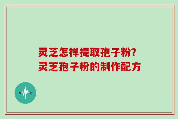 灵芝怎样提取孢子粉？灵芝孢子粉的制作配方