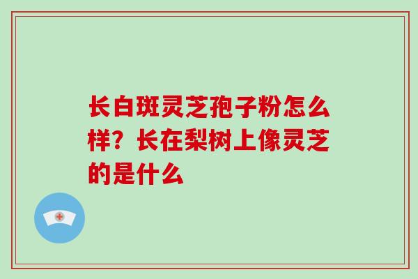 长白斑灵芝孢子粉怎么样？长在梨树上像灵芝的是什么-第1张图片-灵芝大师