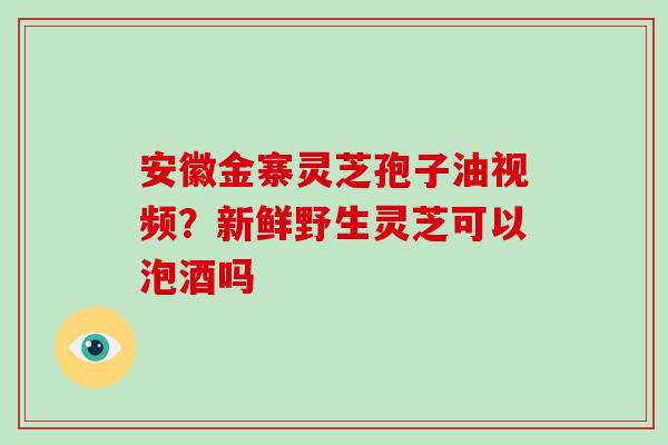 安徽金寨灵芝孢子油视频？新鲜野生灵芝可以泡酒吗