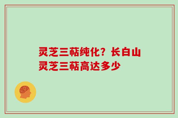灵芝三萜纯化？长白山灵芝三萜高达多少