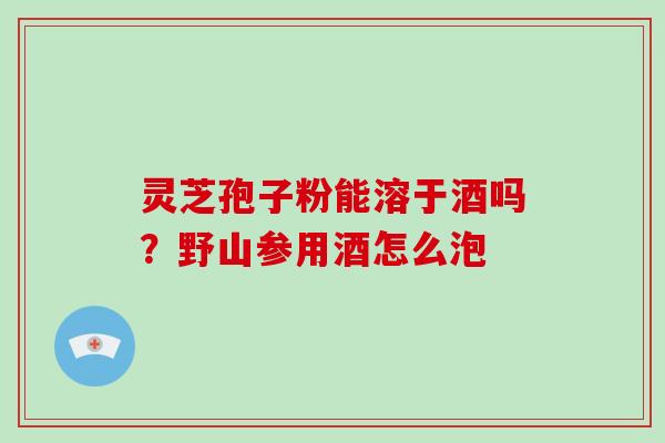 灵芝孢子粉能溶于酒吗？野山参用酒怎么泡