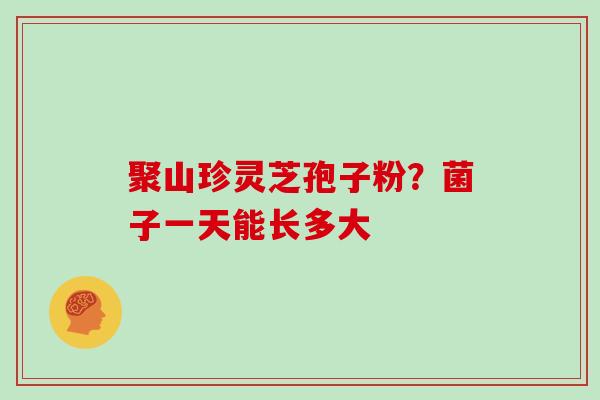 聚山珍灵芝孢子粉？菌子一天能长多大