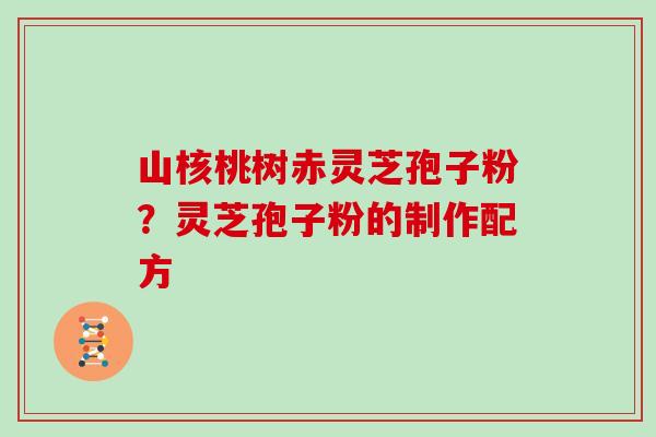 山核桃树赤灵芝孢子粉？灵芝孢子粉的制作配方