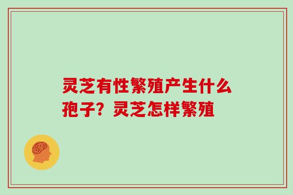 灵芝有性繁殖产生什么孢子？灵芝怎样繁殖