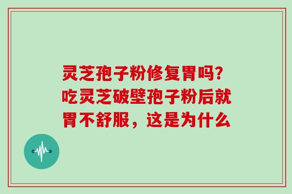 灵芝孢子粉修复胃吗?吃灵芝破壁孢子粉后就胃不舒服,这是为什么-第1张图片-灵芝大师 灵芝孢子粉修复胃吗?吃灵芝破壁孢子粉后就胃不舒服,这是为什么-第1张图片-灵芝大师