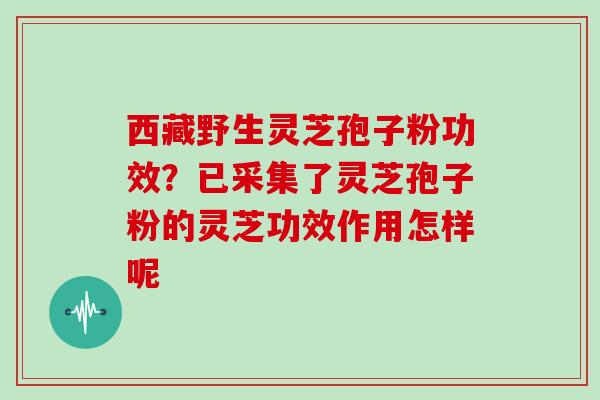 西藏野生灵芝孢子粉功效？已采集了灵芝孢子粉的灵芝功效作用怎样呢