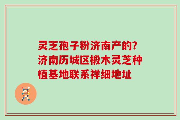 灵芝孢子粉济南产的？济南历城区椴木灵芝种植基地联系祥细地址