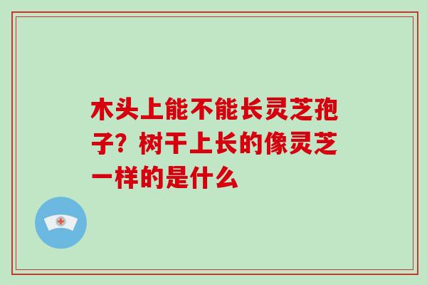 木头上能不能长灵芝孢子？树干上长的像灵芝一样的是什么