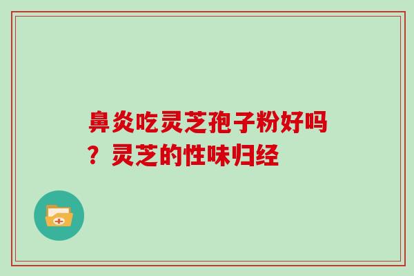 鼻炎吃灵芝孢子粉好吗?灵芝的性味归经-第1张图片-灵芝大师 鼻炎吃灵芝孢子粉好吗?灵芝的性味归经-第1张图片-灵芝大师