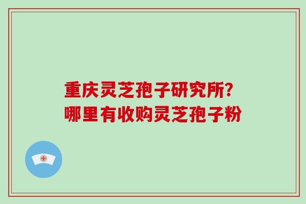 重庆灵芝孢子研究所？哪里有收购灵芝孢子粉