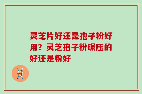 灵芝片好还是孢子粉好用？灵芝孢子粉碾压的好还是粉好