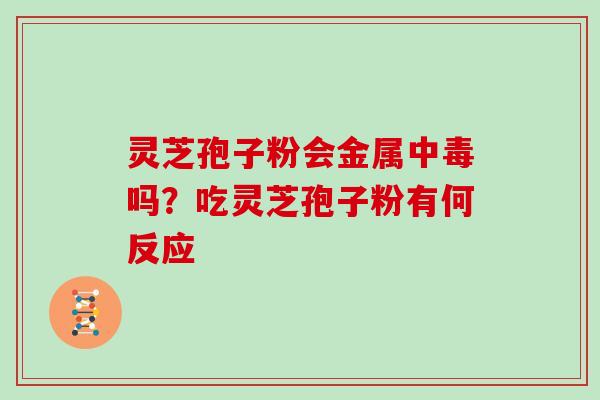 灵芝孢子粉会金属中毒吗？吃灵芝孢子粉有何反应
