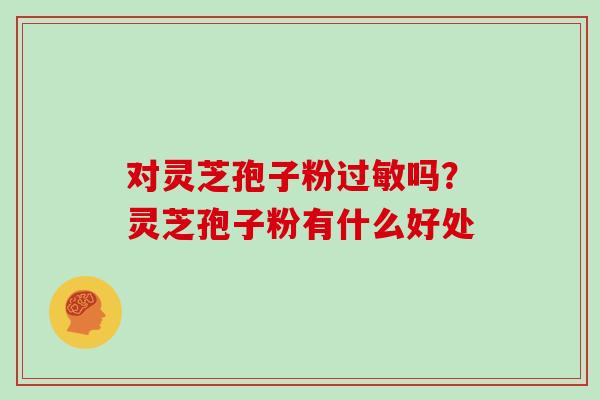 对灵芝孢子粉过敏吗？灵芝孢子粉有什么好处