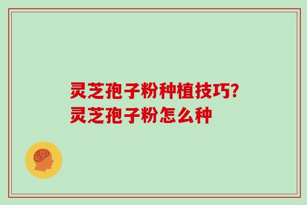 灵芝孢子粉种植技巧？灵芝孢子粉怎么种