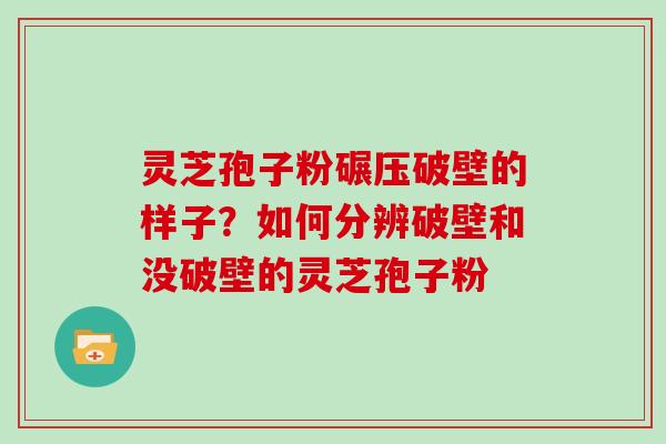 灵芝孢子粉碾压破壁的样子？如何分辨破壁和没破壁的灵芝孢子粉