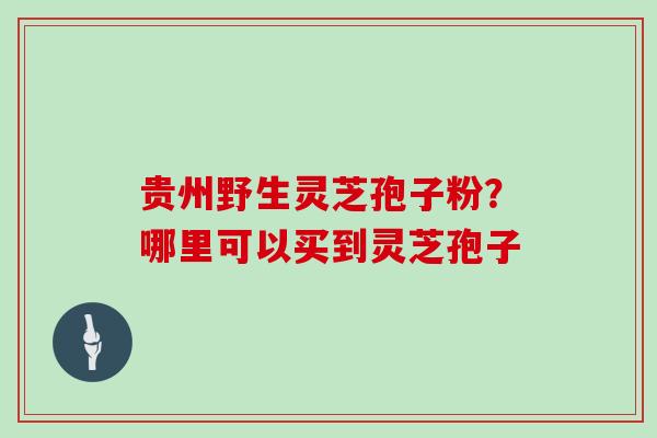 贵州野生灵芝孢子粉？哪里可以买到灵芝孢子