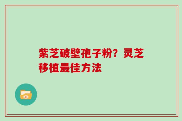 紫芝破壁孢子粉？灵芝移植最佳方法
