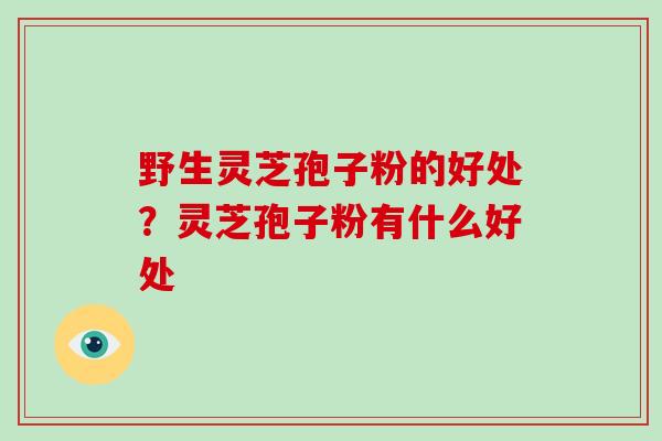 野生灵芝孢子粉的好处？灵芝孢子粉有什么好处