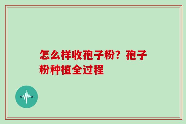 怎么样收孢子粉？孢子粉种植全过程