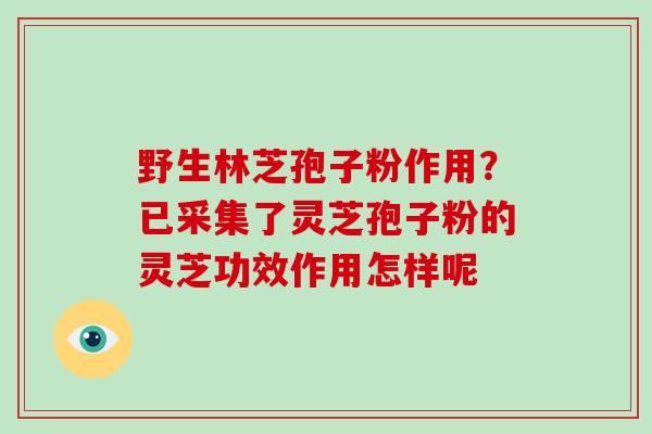 野生林芝孢子粉作用？已采集了灵芝孢子粉的灵芝功效作用怎样呢