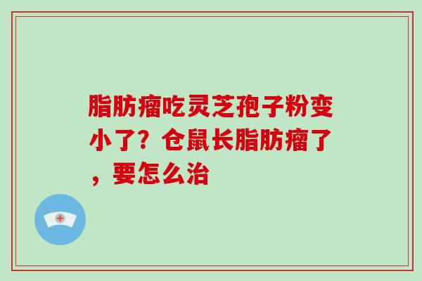 脂肪瘤吃灵芝孢子粉变小了？仓鼠长脂肪瘤了，要怎么治
