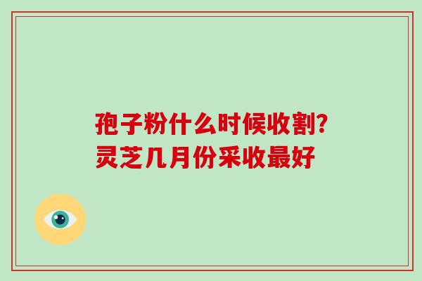 孢子粉什么时候收割?灵芝几月份采收最好-第1张图片-灵芝大师 孢子粉什么时候收割?灵芝几月份采收最好-第1张图片-灵芝大师