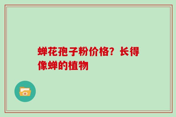 蝉花孢子粉价格？长得像蝉的植物