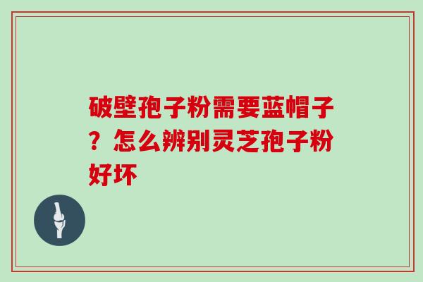 破壁孢子粉需要蓝帽子？怎么辨别灵芝孢子粉好坏