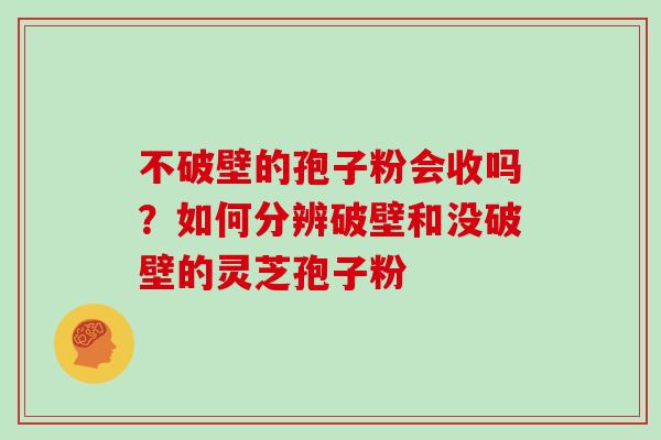 不破壁的孢子粉会收吗？如何分辨破壁和没破壁的灵芝孢子粉
