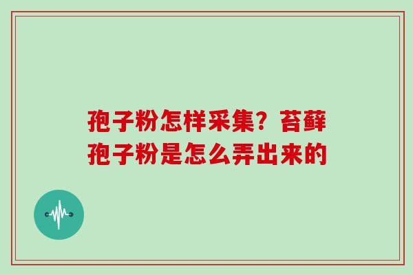 孢子粉怎样采集？苔藓孢子粉是怎么弄出来的