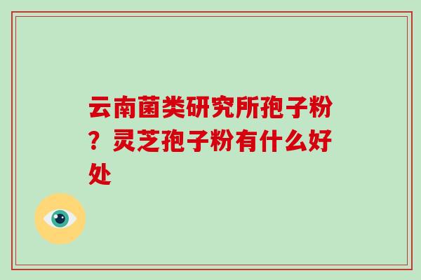 云南菌类研究所孢子粉？灵芝孢子粉有什么好处